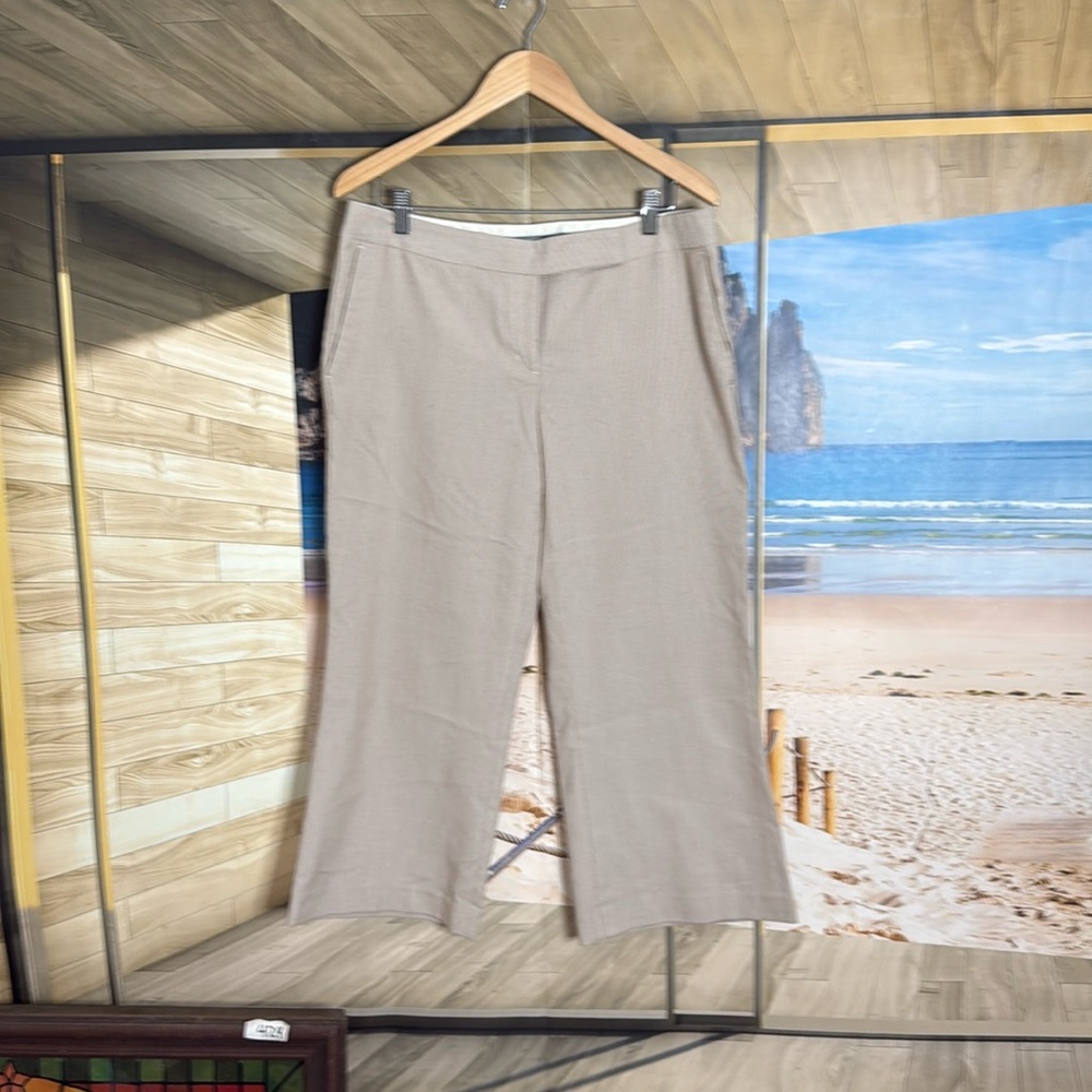 Express Editor cropped pants